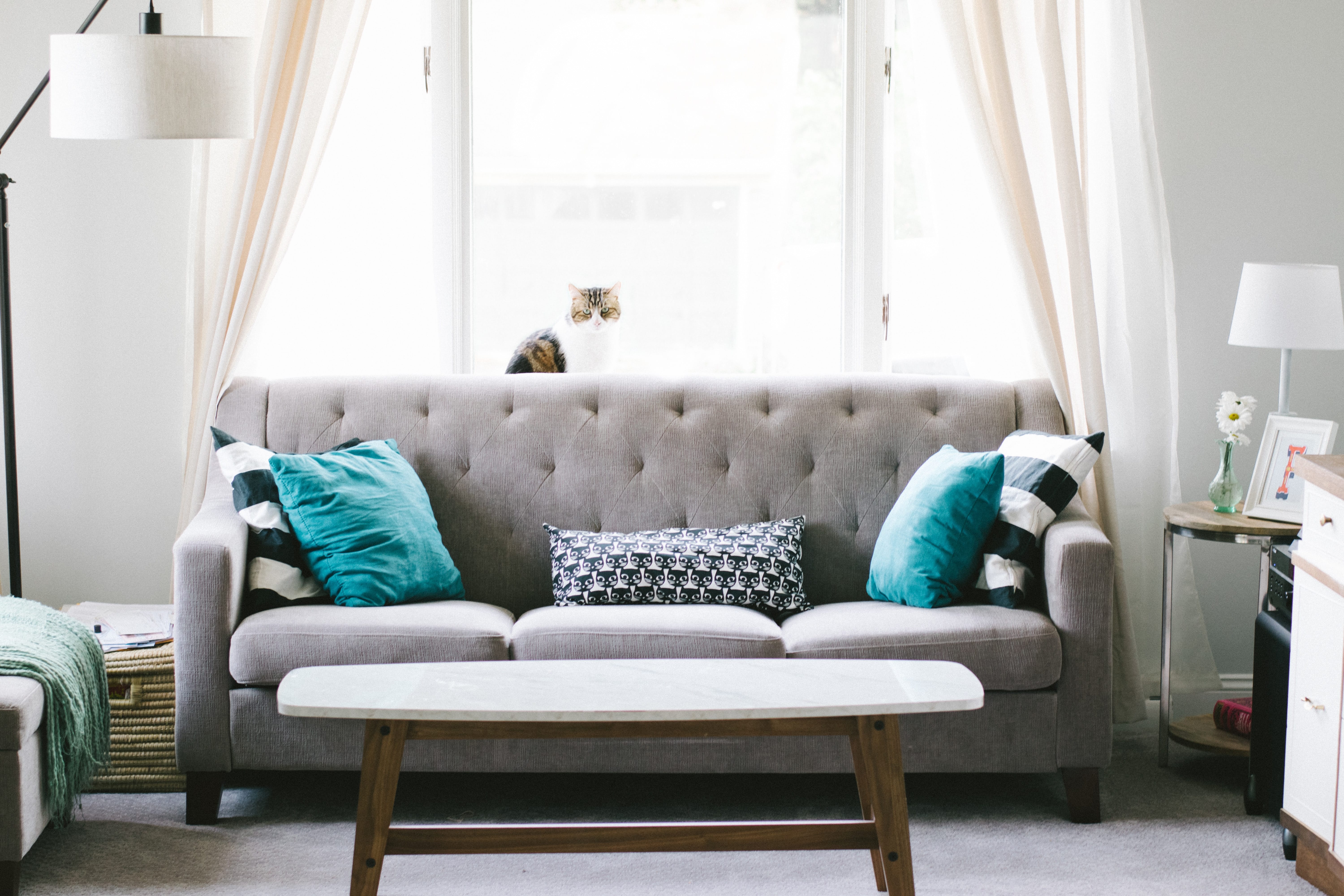 11 tips for making a home of your rented house