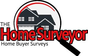 The-Home-Surveyor