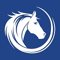 White-Horse-Surveyors-Ltd-(London)