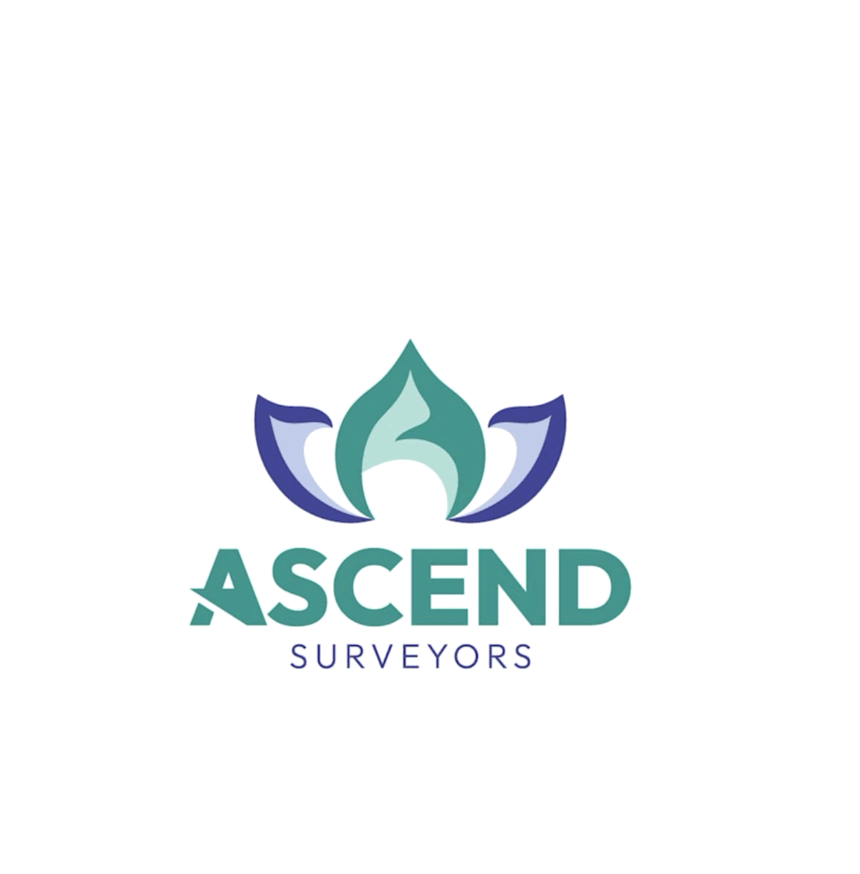 Ascend-Surveyors