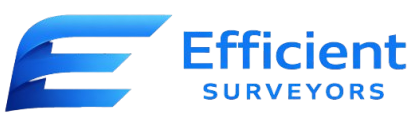 Efficient-Surveyors