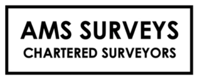 AMS-Surveys