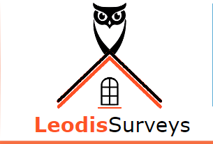 Leodis-Surveys
