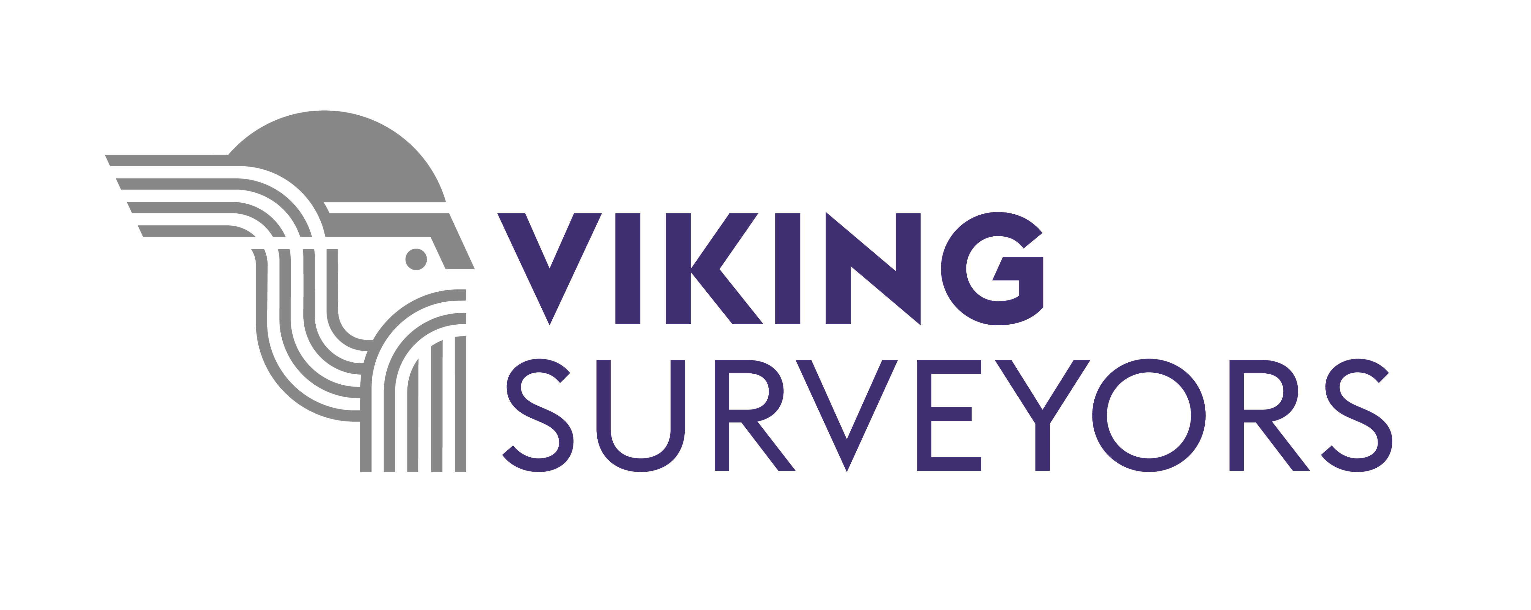 Viking-Surveyors-Ltd---Oxford