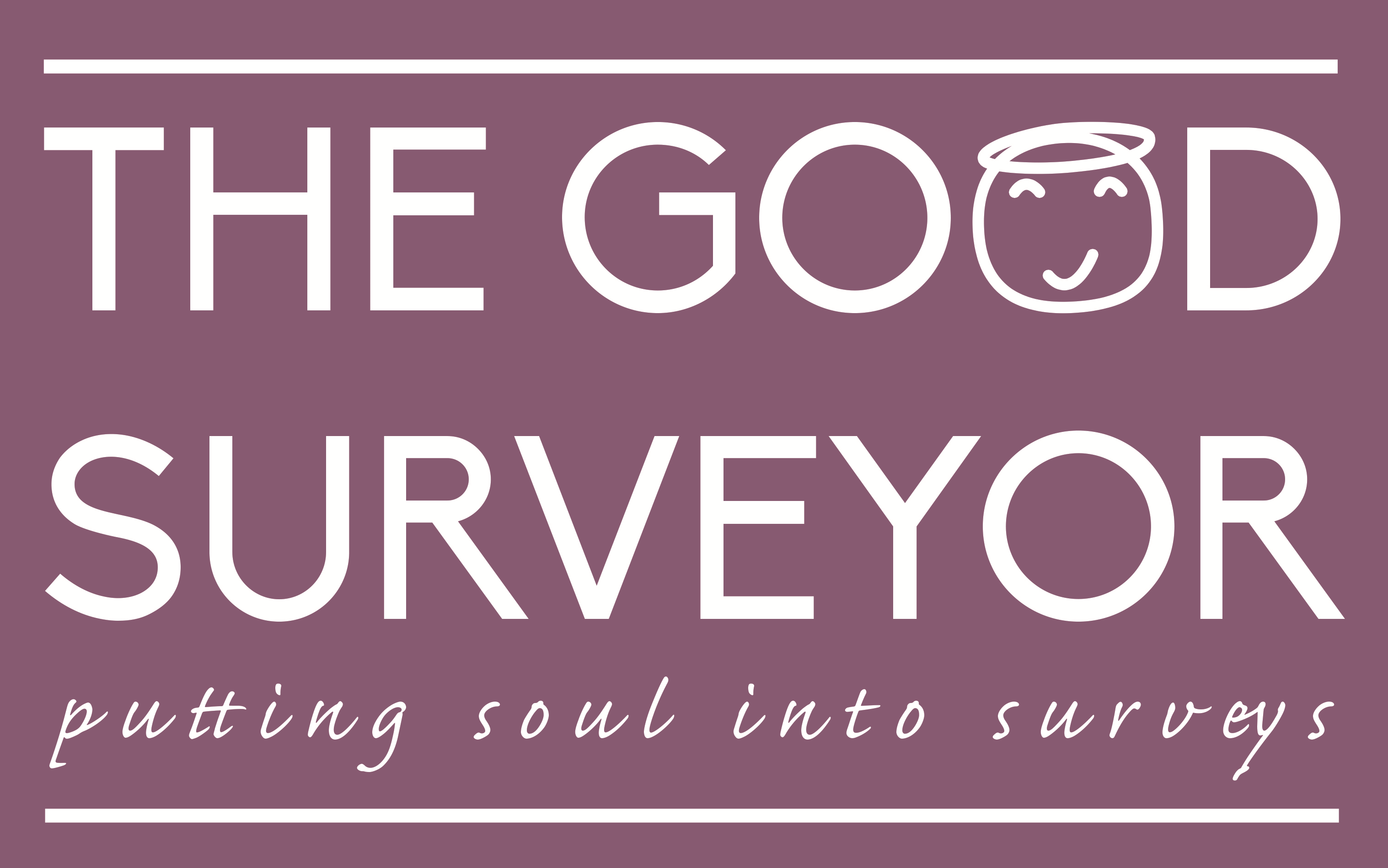 The-Good-Surveyor-Limited