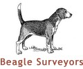 Beagle-Surveyors