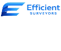 Efficient-Surveyors