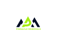 Pinnacle-Removals-and-Storage-Ltd