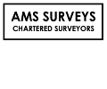 AMS-Surveys