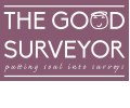 The-Good-Surveyor-Limited